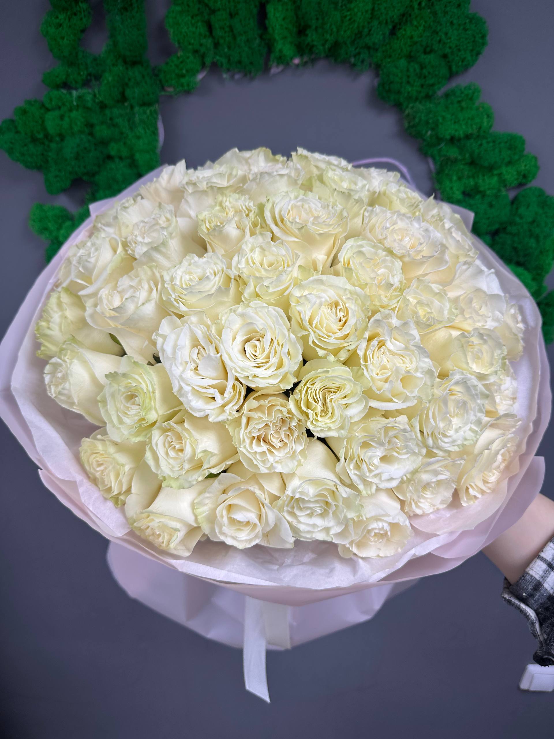 51 белая роза