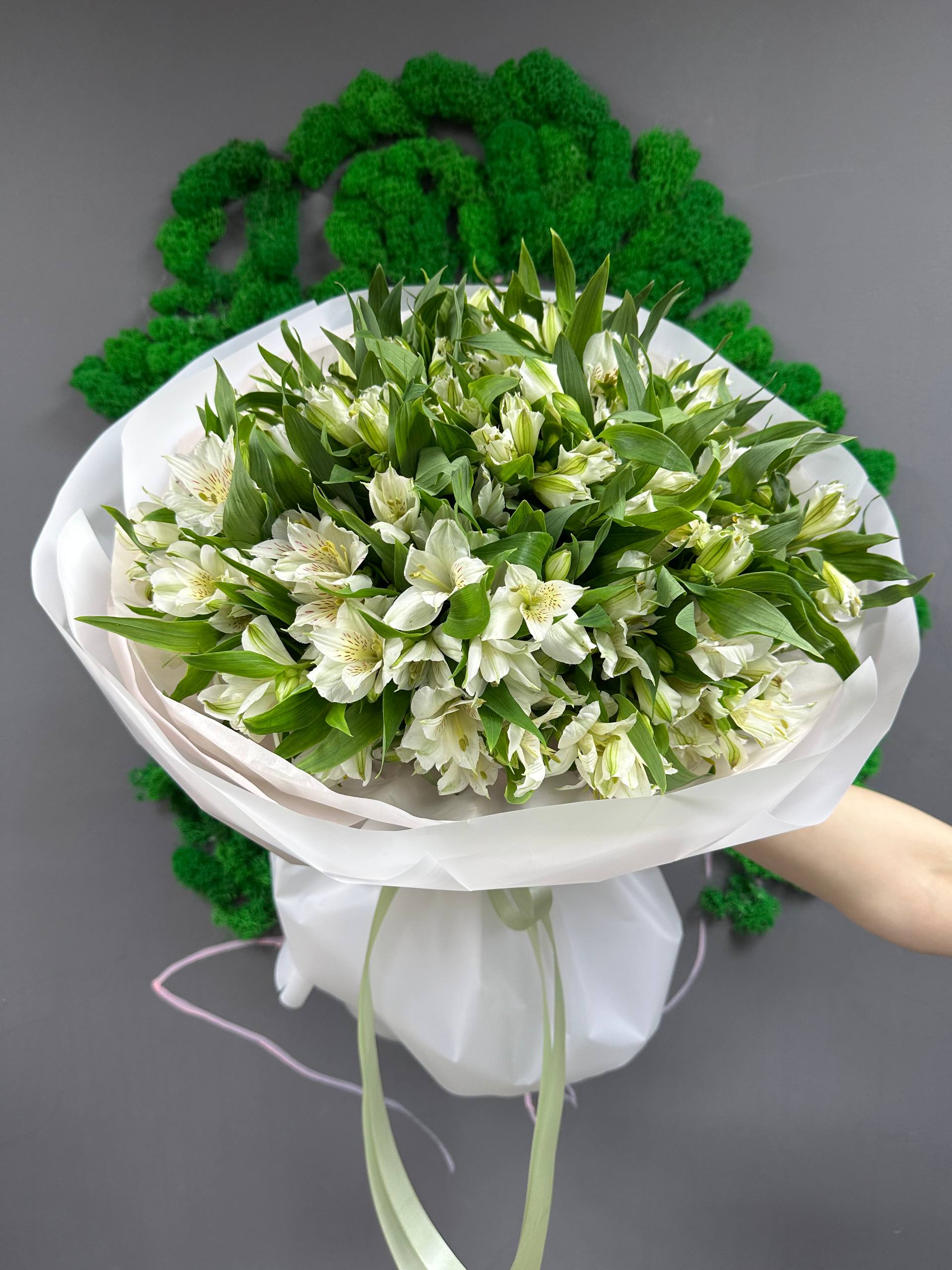 25 бел альстры